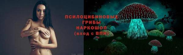 дмт Баксан