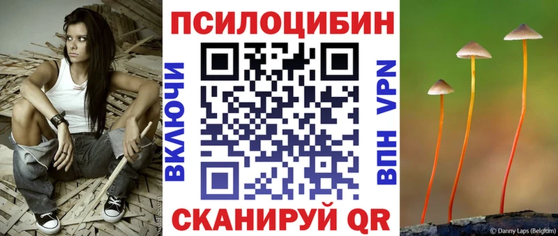 купить наркотик  Верея  hydra ONION  darknet телеграм  Галлюциногенные грибы прущие грибы 