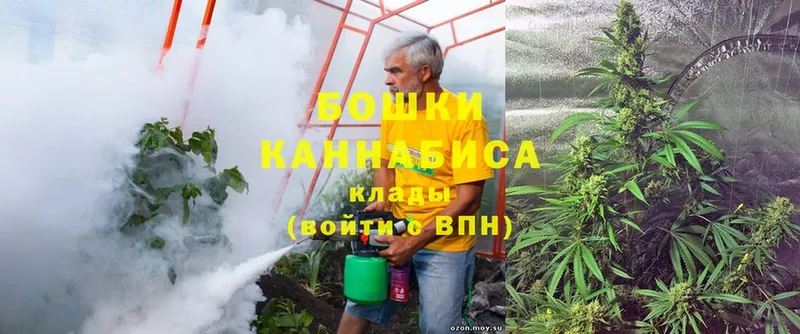 Конопля Bruce Banner  где купить наркотик  Верея 